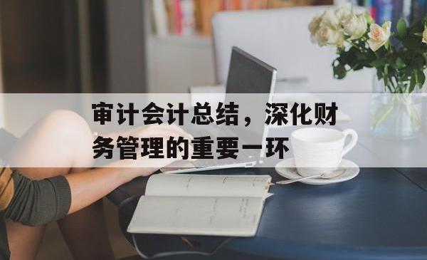 审计会计总结，深化财务管理的重要一环