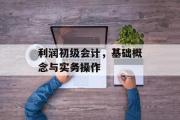 利润初级会计，基础概念与实务操作