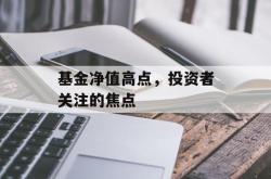 基金净值高点，投资者关注的焦点