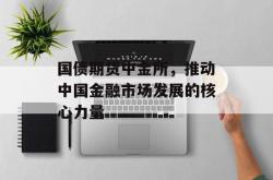国债期货中金所，推动中国金融市场发展的核心力量