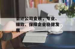 会计公司查账，专业、细致、保障企业稳健发展