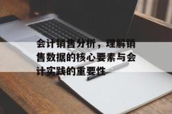 会计销售分析，理解销售数据的核心要素与会计实践的重要性