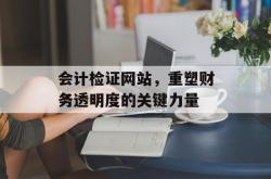 会计检证网站，重塑财务透明度的关键力量