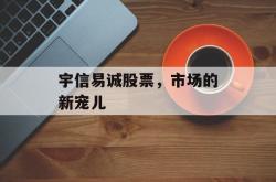 宇信易诚股票，市场的新宠儿