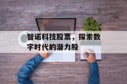 智诺科技股票，探索数字时代的潜力股