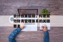 会计核算层级，构建高效财务管理体系的关键要素