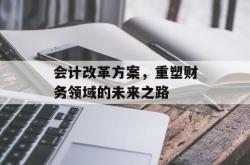 会计改革方案，重塑财务领域的未来之路
