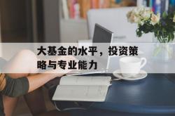 大基金的水平，投资策略与专业能力