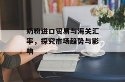 奶粉进口贸易与海关汇率，探究市场趋势与影响
