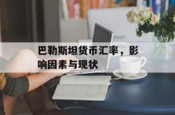 巴勒斯坦货币汇率，影响因素与现状