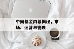 中国基金内幕揭秘，市场、运营与管理
