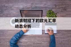 新浪财经下的欧元汇率动态分析