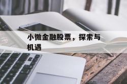 小微金融股票，探索与机遇