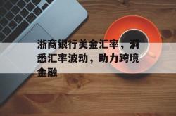 浙商银行美金汇率，洞悉汇率波动，助力跨境金融