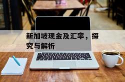 新加坡现金及汇率，探究与解析