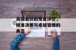 高级会计的专业评价，精准决策与卓越管理的典范