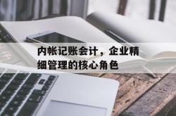 内帐记账会计，企业精细管理的核心角色