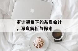 审计视角下的东奥会计，深度解析与探索