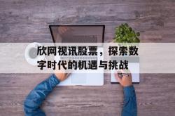 欣网视讯股票，探索数字时代的机遇与挑战