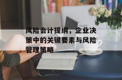 风险会计提纲，企业决策中的关键要素与风险管理策略