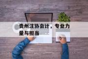 贵州注协会计，专业力量与担当