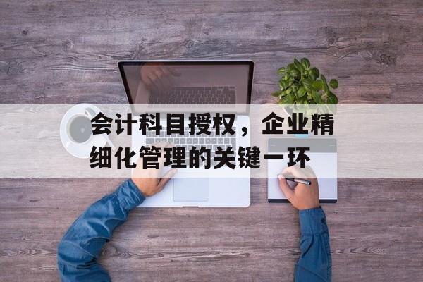 会计科目授权，企业精细化管理的关键一环