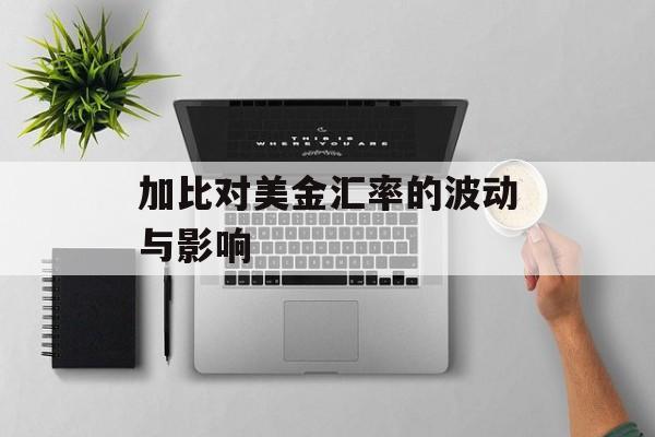 加比对美金汇率的波动与影响