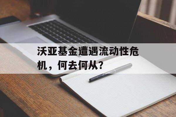 沃亚基金遭遇流动性危机，何去何从？