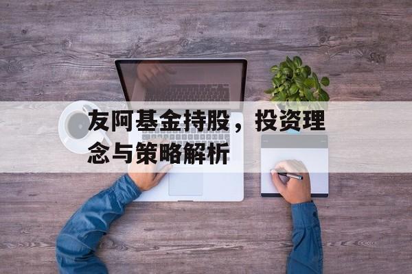 友阿基金持股，投资理念与策略解析