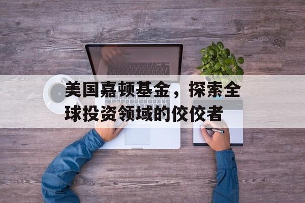 美国嘉顿基金，探索全球投资领域的佼佼者