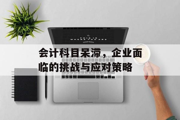 会计科目呆滞，企业面临的挑战与应对策略
