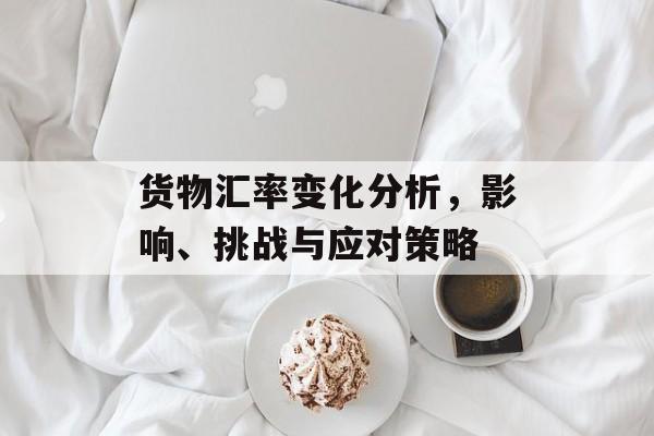 货物汇率变化分析，影响、挑战与应对策略