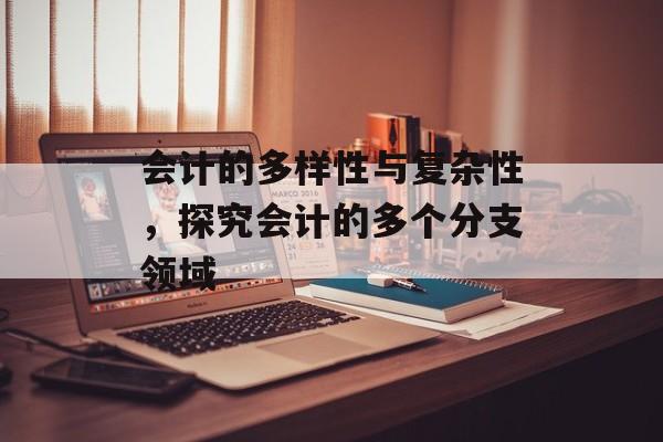 会计的多样性与复杂性，探究会计的多个分支领域