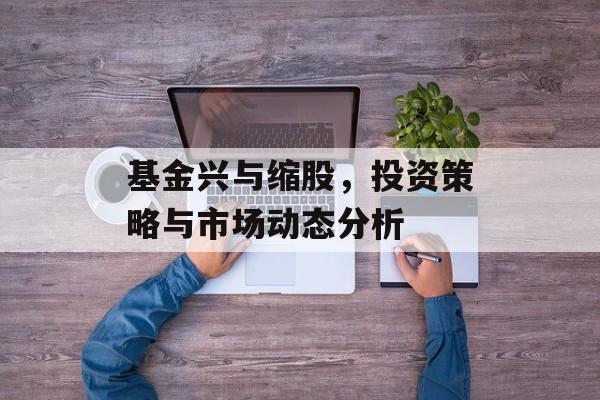 基金兴与缩股，投资策略与市场动态分析