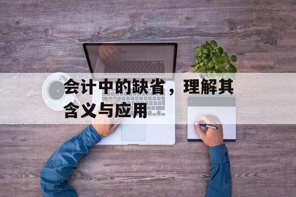 会计中的缺省，理解其含义与应用