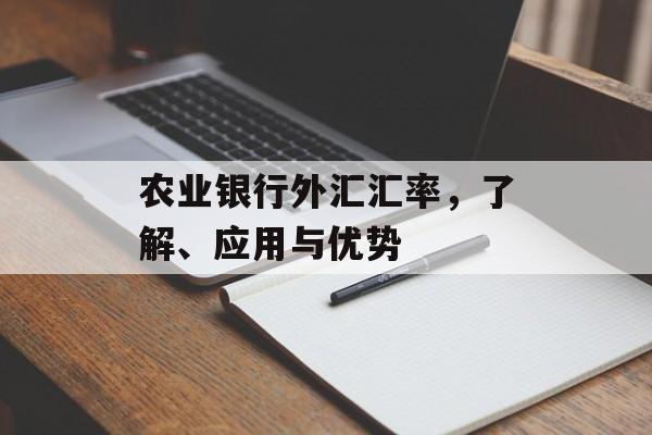农业银行外汇汇率，了解、应用与优势