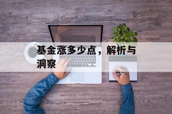 基金涨多少点，解析与洞察