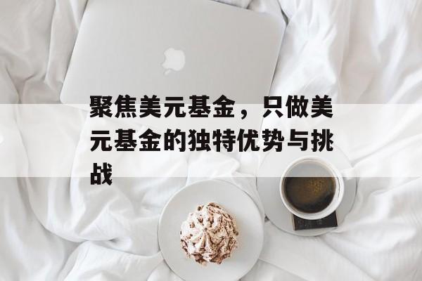 聚焦美元基金，只做美元基金的独特优势与挑战
