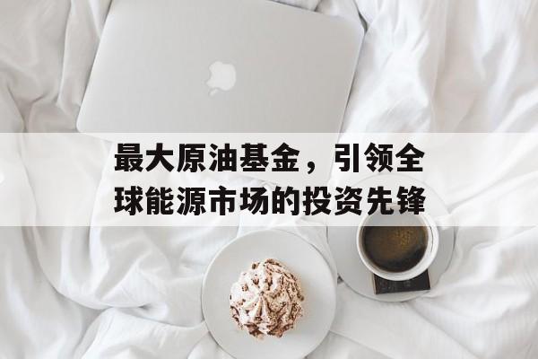 最大原油基金，引领全球能源市场的投资先锋