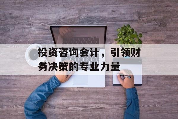 投资咨询会计，引领财务决策的专业力量