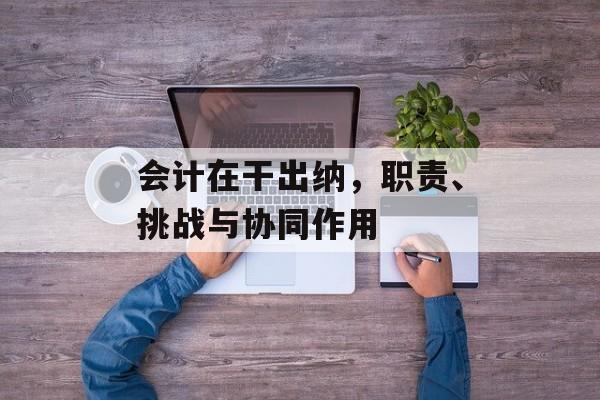会计在干出纳，职责、挑战与协同作用