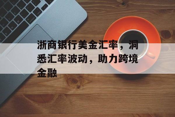 浙商银行美金汇率，洞悉汇率波动，助力跨境金融