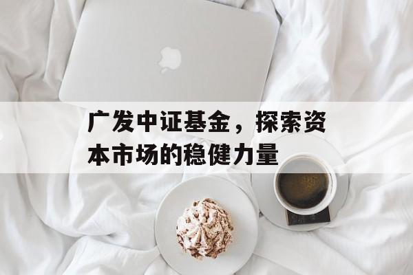 广发中证基金，探索资本市场的稳健力量