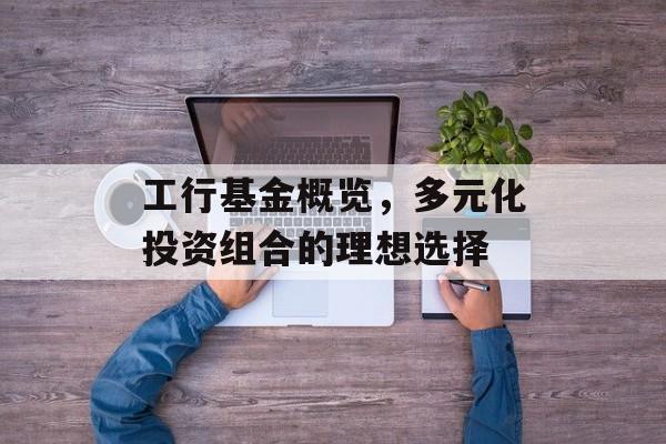 工行基金概览，多元化投资组合的理想选择