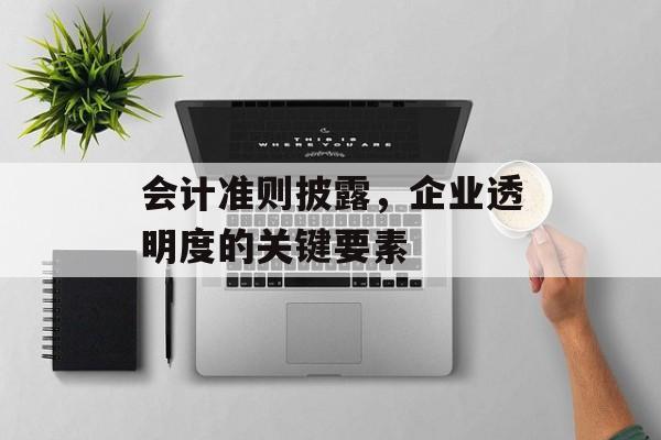会计准则披露，企业透明度的关键要素