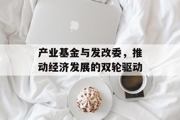 产业基金与发改委，推动经济发展的双轮驱动
