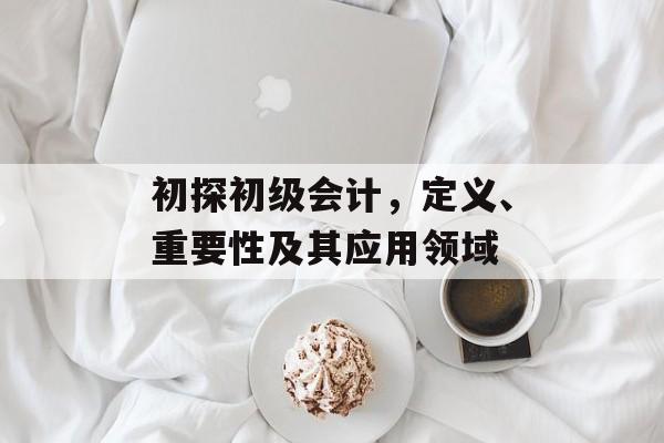 初探初级会计，定义、重要性及其应用领域