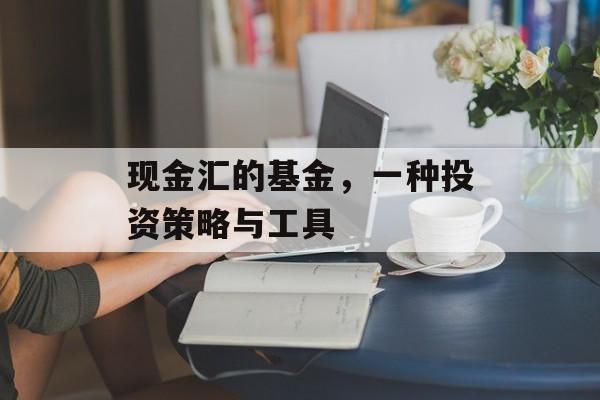 现金汇的基金，一种投资策略与工具