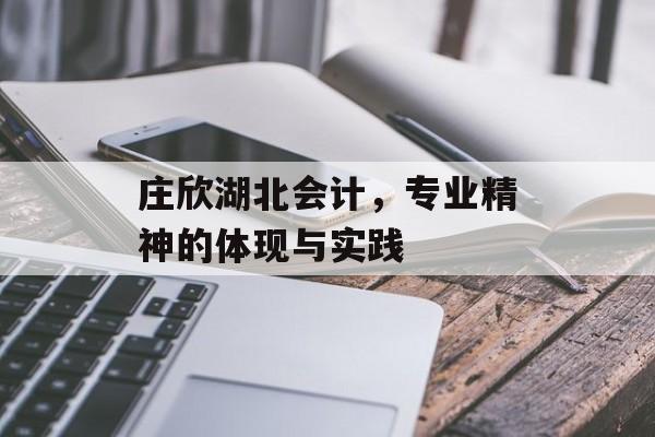 庄欣湖北会计，专业精神的体现与实践