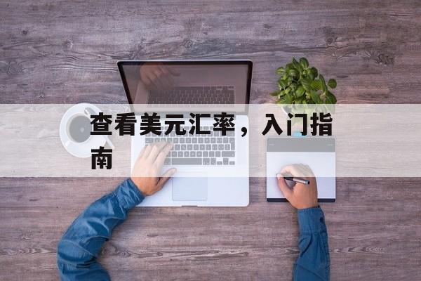 查看美元汇率，入门指南